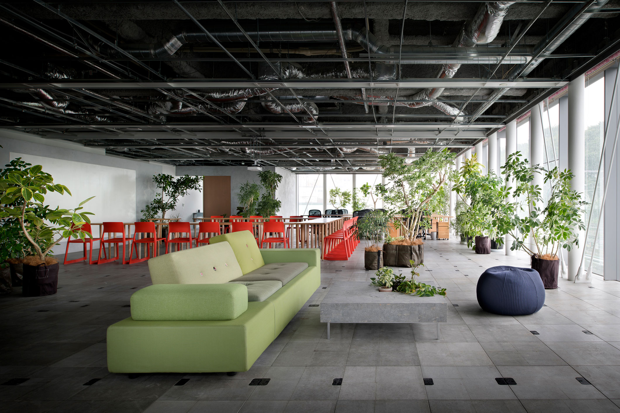 LIVE PERSON / MUKoARK,Tokyo